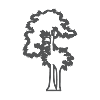 Panama Icon Urwald