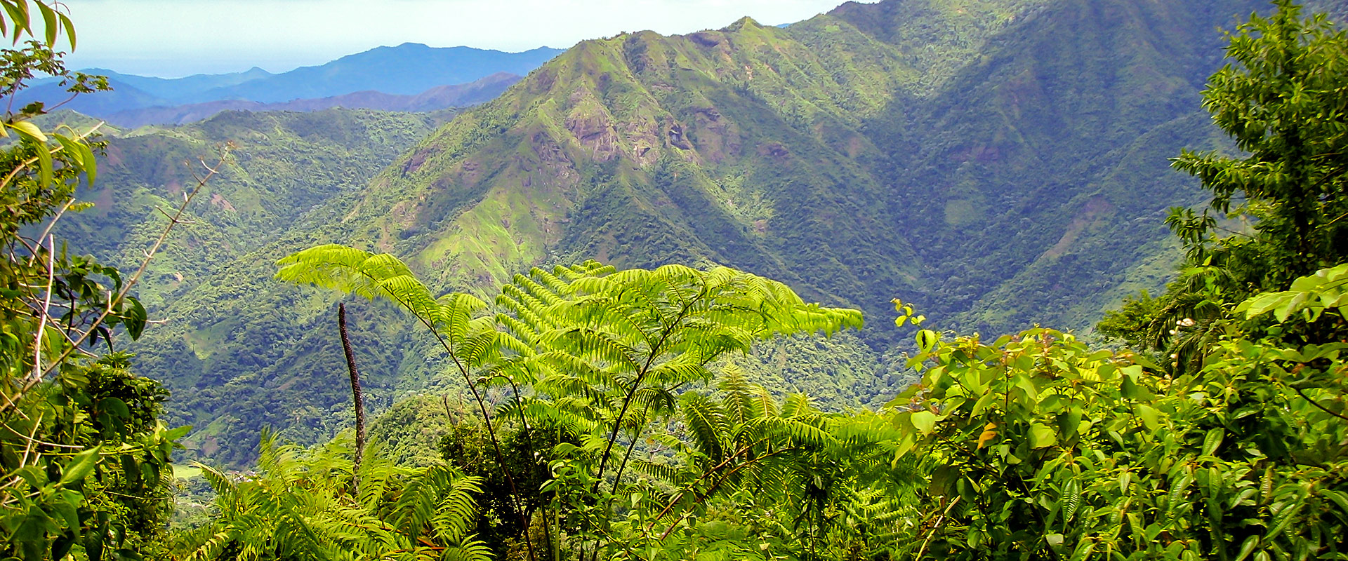 CU Ausflug El Yunque Slider