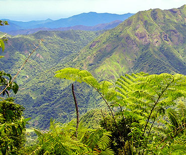 CU Ausflug El Yunque Thumbnail