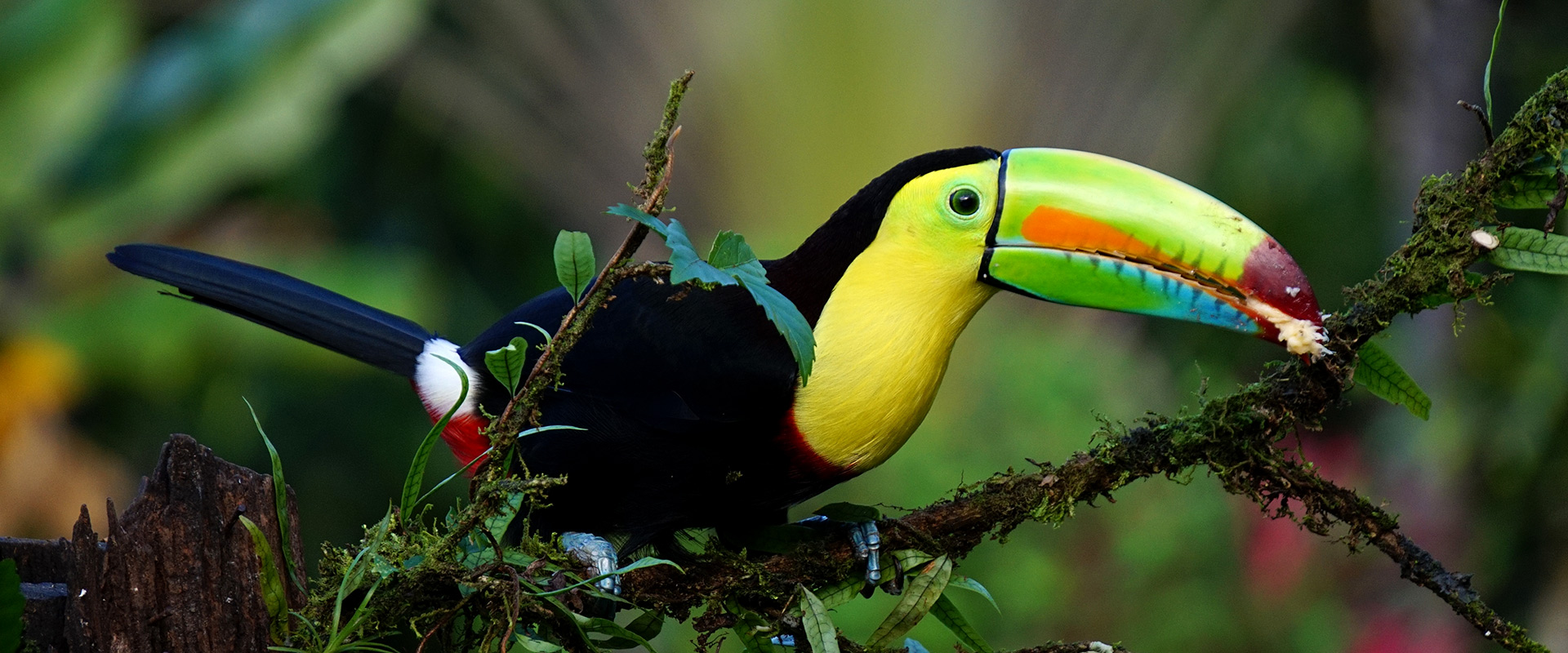 CR Ausflug Vogelbeobachtung Slider